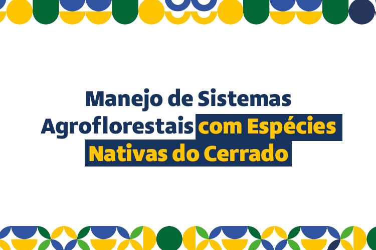 Curso de Extensão de Sistemas agroflorestais